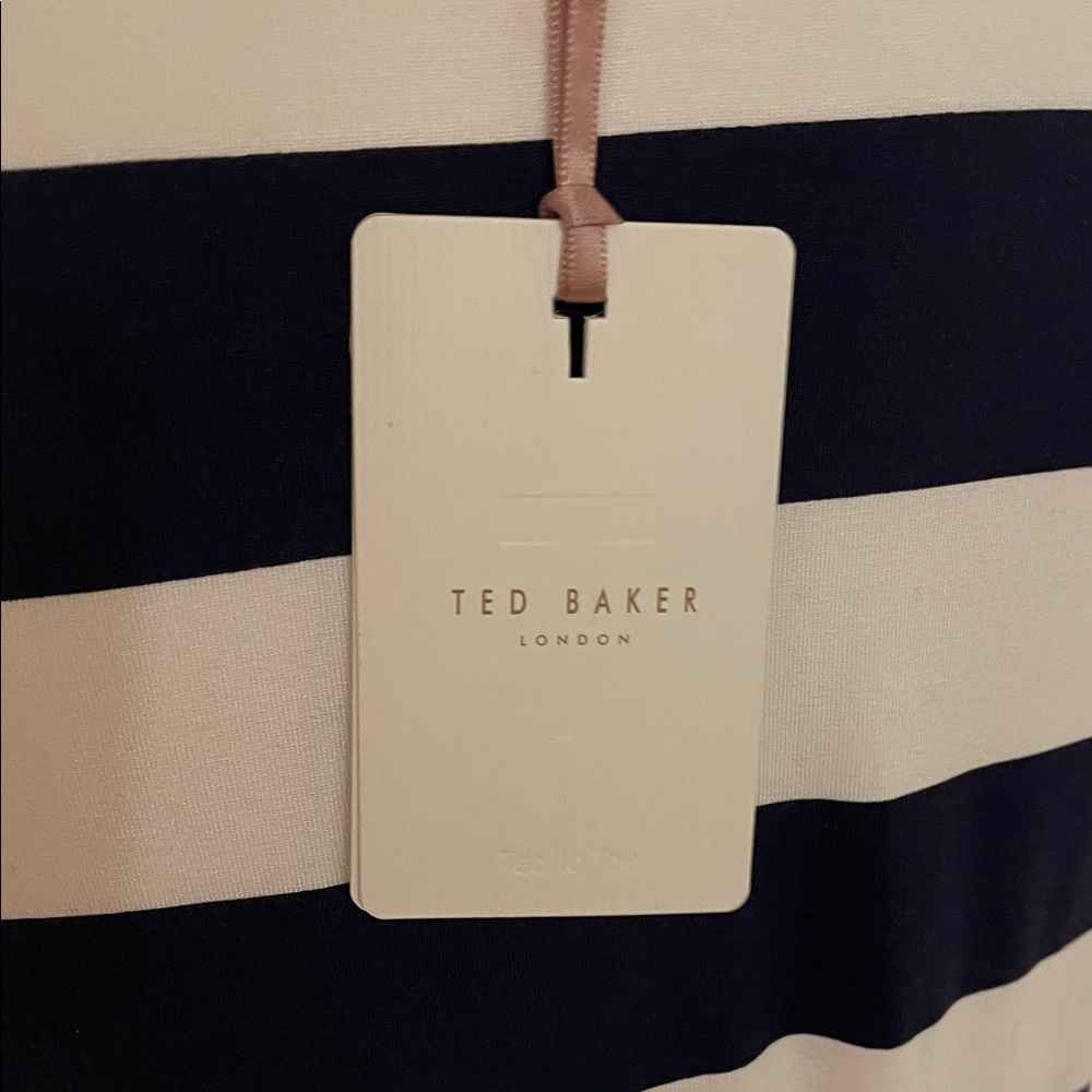 Ted Baker London Navy and Burgundy Striped Midi Dress - Picture 3 of 11